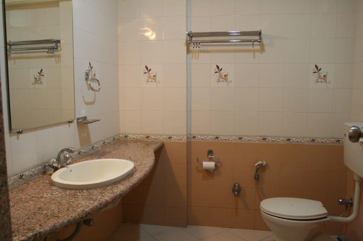 Hotel Sai International Peth  Εξωτερικό φωτογραφία